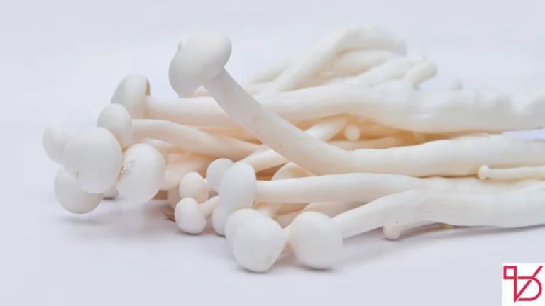 Seafood Mushroom